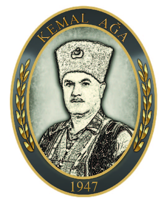 Image module