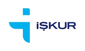 Image module
