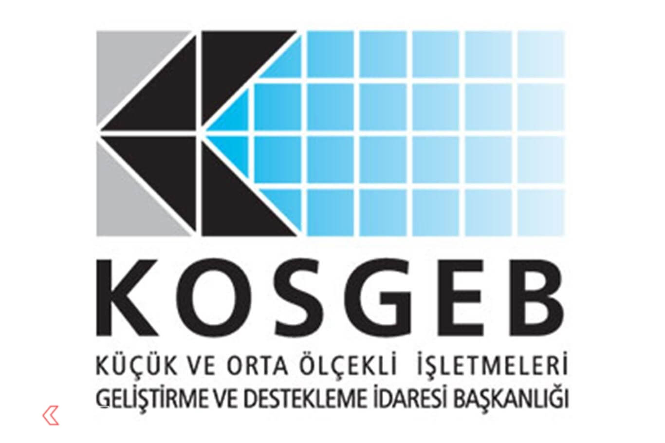 Image module