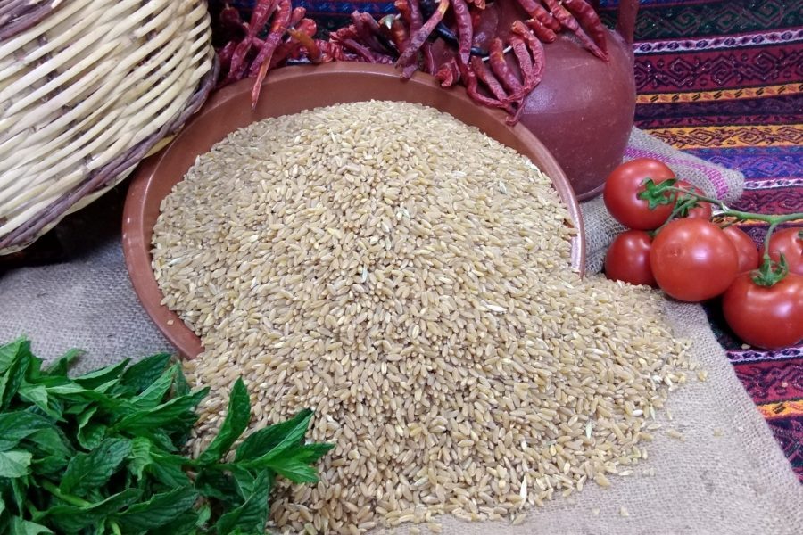 DÖVMELİK BUĞDAY