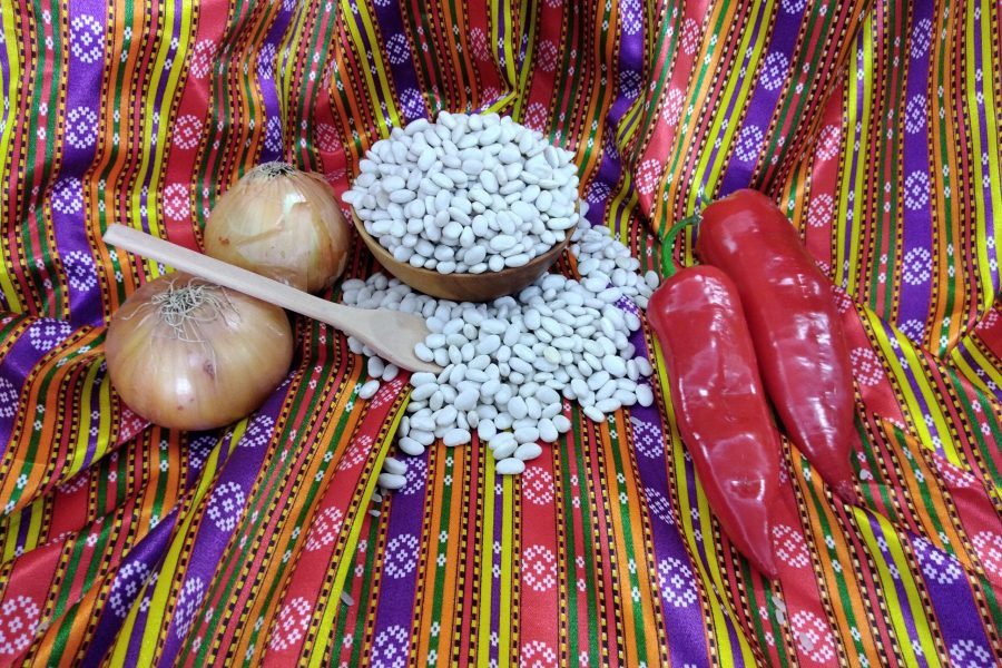 KURU FASÜLYE